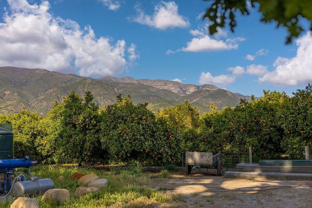 3359 Reeves Road Ojai, CA 93023 - Photo 32 of 42 a view of a lake with houses