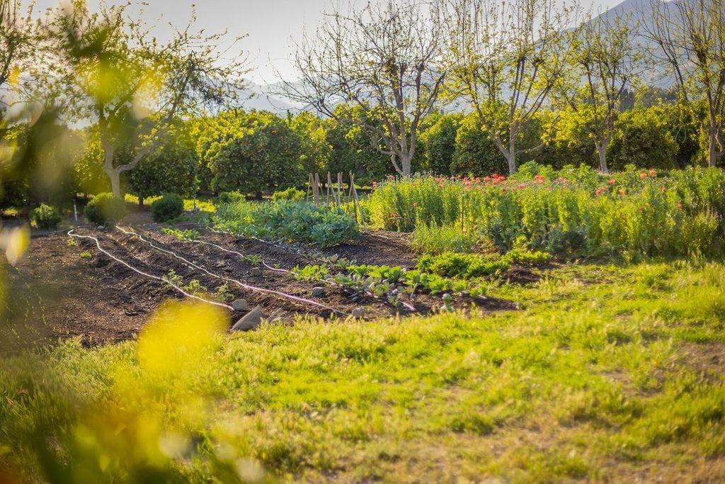 3359 Reeves Road Ojai, CA 93023 - Photo 34 of 42 a view of swimming pool from a yard