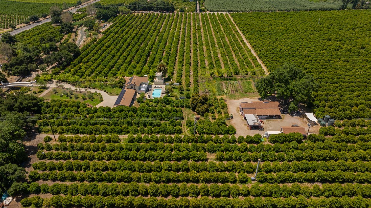 3359 Reeves Road Ojai, CA 93023 - Photo 39 of 42 a view of a garden