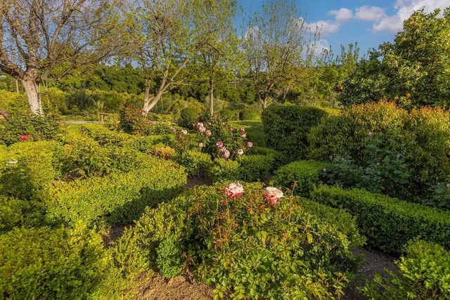 a view of a bunch of trees and bushes