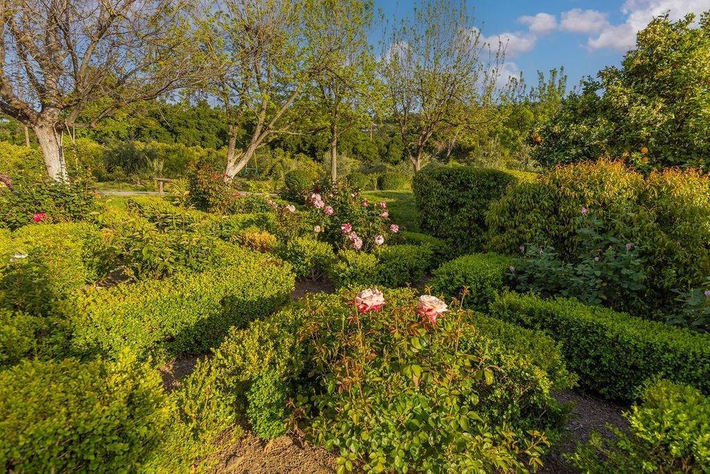 3359 Reeves Road Ojai, CA 93023 - Photo 7 of 42 a view of a bunch of trees and bushes