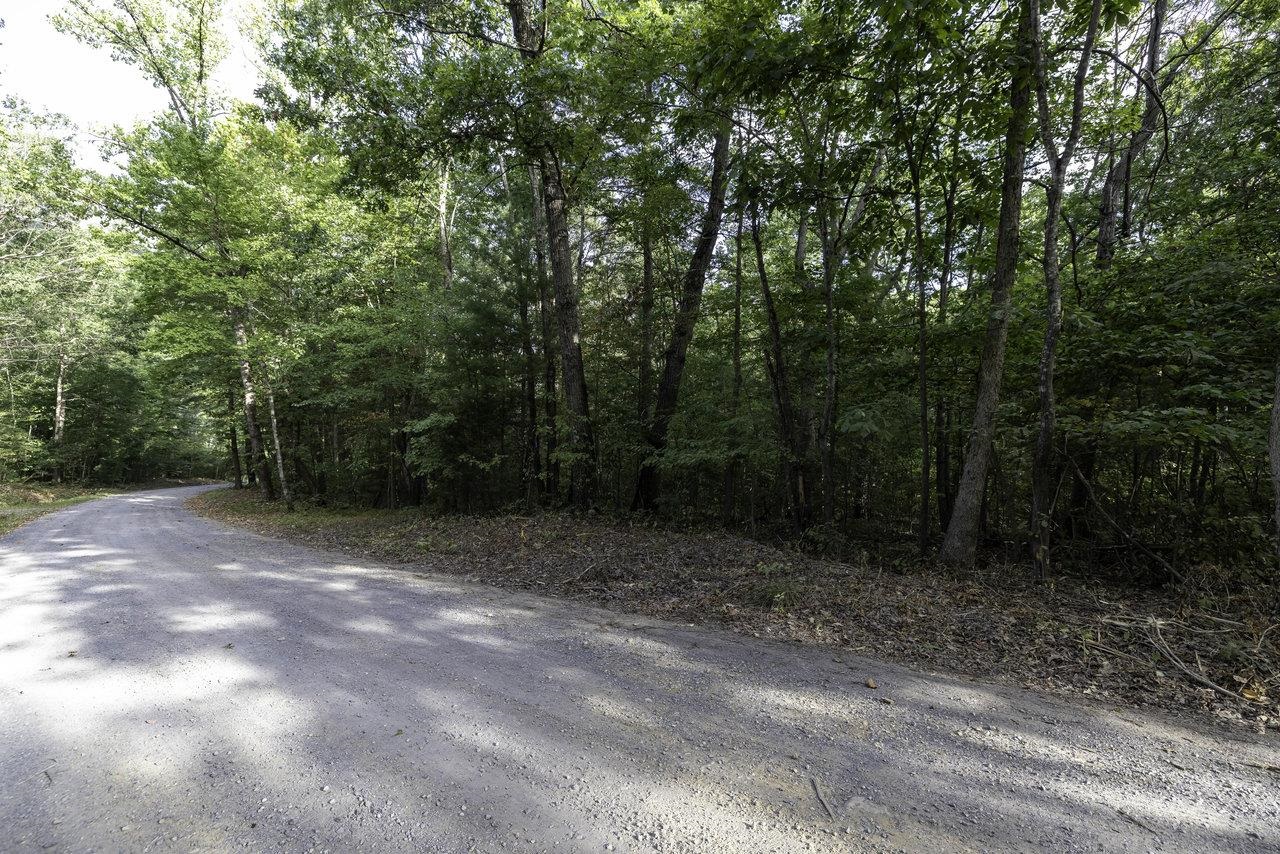 Lot D3 Holiday Hill Road Luray, VA 22835 - Photo 28 of 32