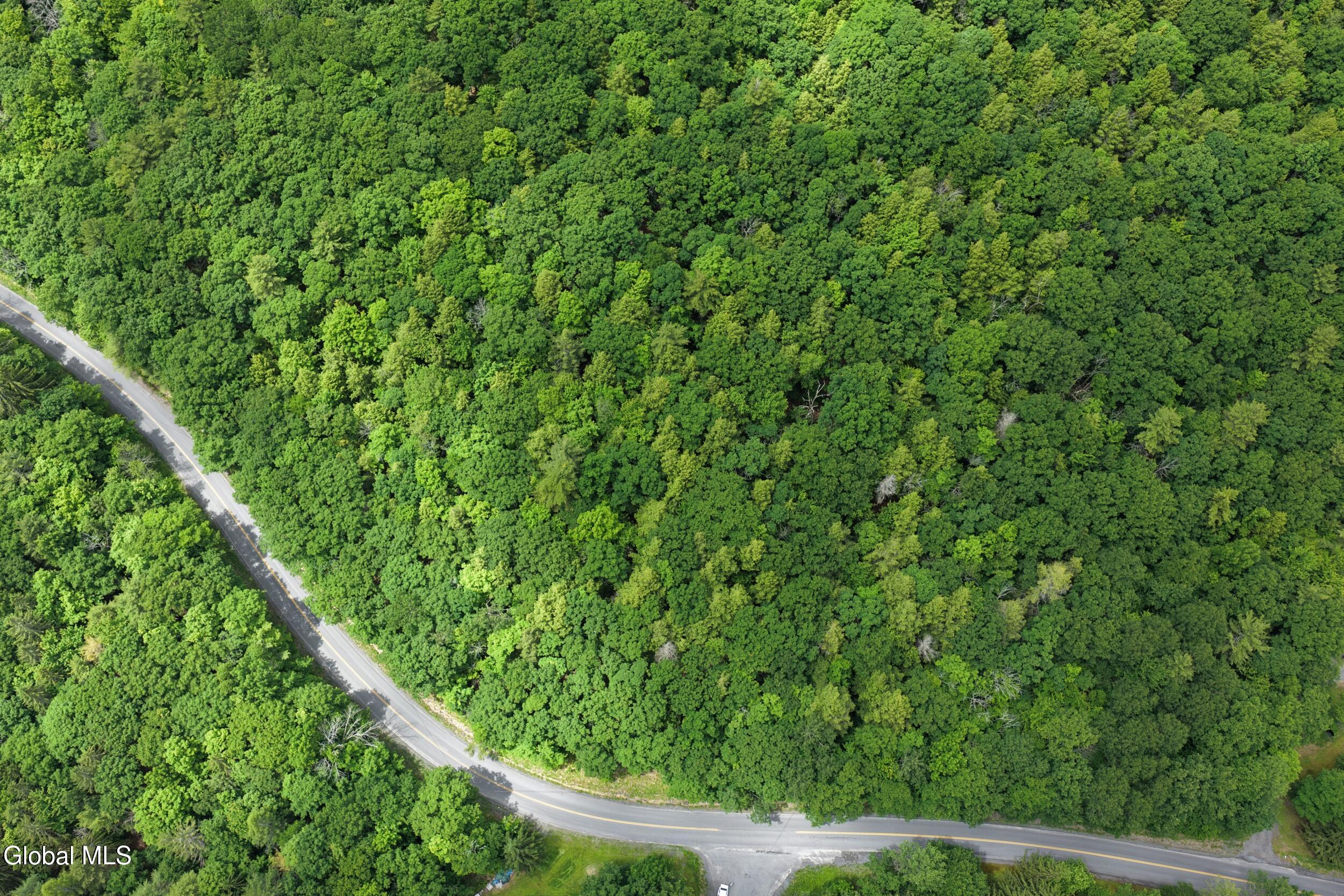 L1.00 Cotton Hill Road Middleburgh, NY 12122 - Photo 4 of 17 dji_20260616013652_0050_d