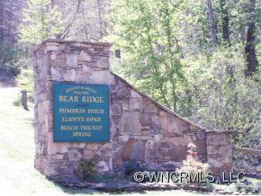 96-99 Grace Ridge Road Bakersville, NC 28705 - Photo 2 of 16 Gallery Image 2