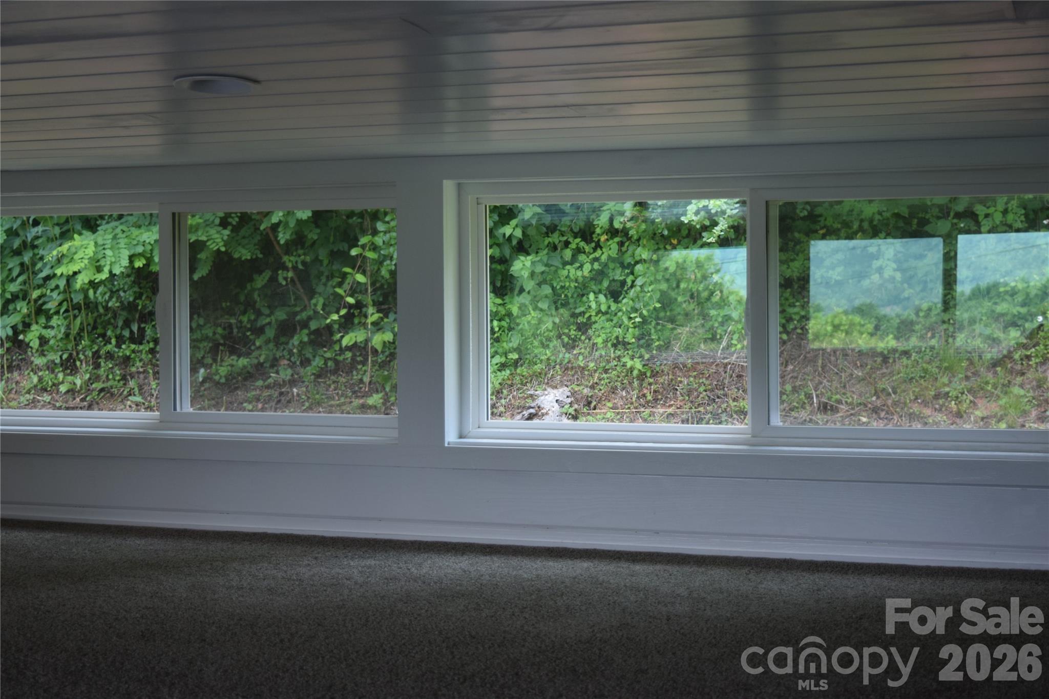 619 Kitchens Branch Road Sylva, NC 28779 - Photo 28 of 31