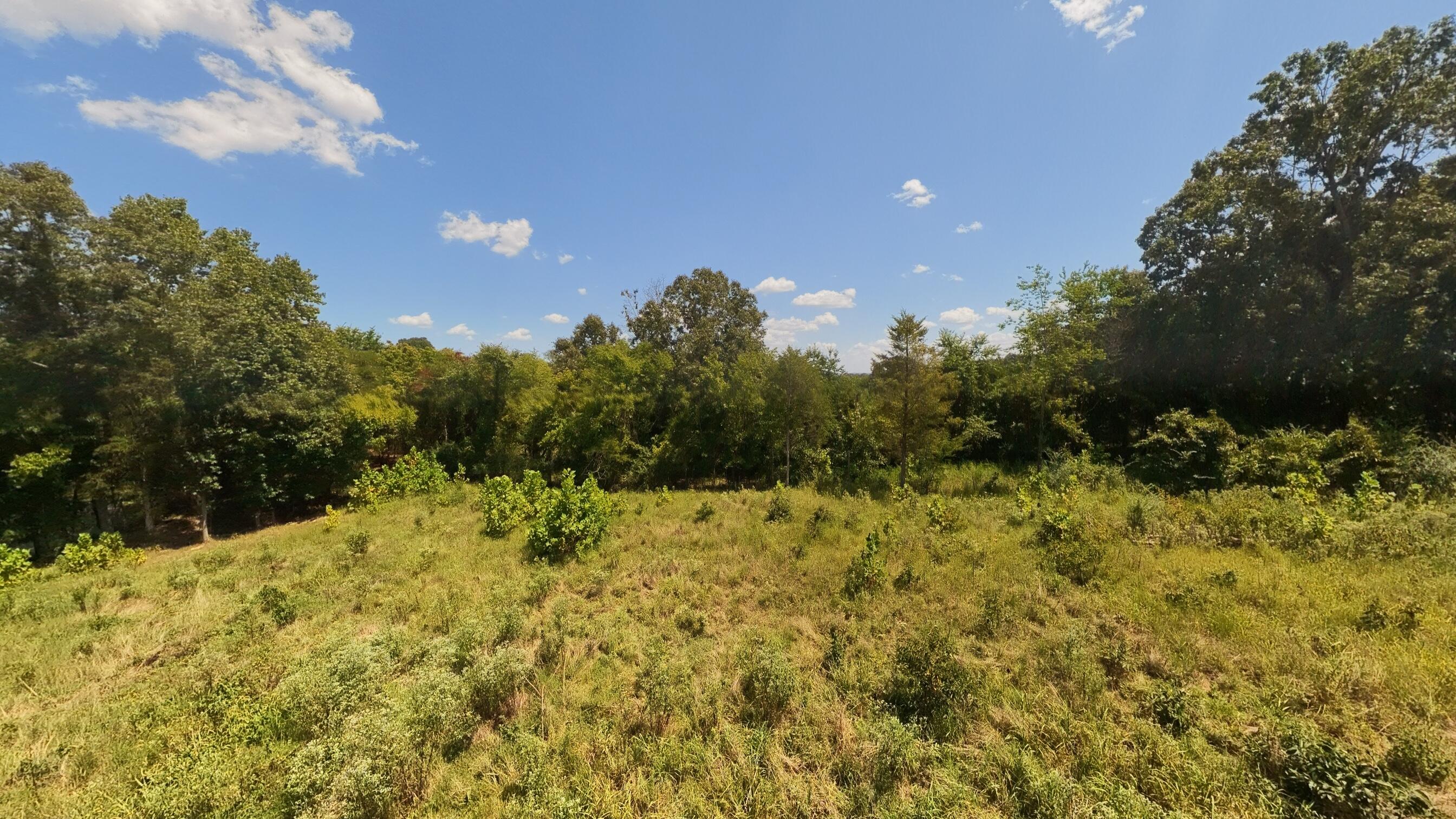 0 Bamber Street Mammoth Spring, AR 72554 - Photo 25 of 39 32+_- Acres023