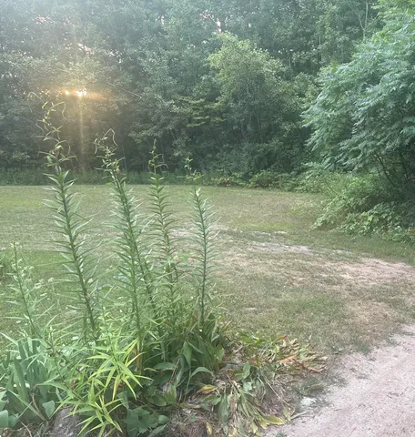 $7,000 | 17333 Summit Court, Barryton, MI 49305