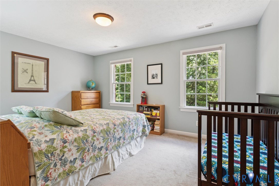 720 Arlington Island Road Lanexa, VA 23089 - Photo 36 of 50 Carpeted bedroom featuring baseboards and a textur