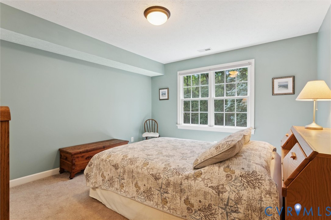 720 Arlington Island Road Lanexa, VA 23089 - Photo 40 of 50 Bedroom featuring light colored carpet and a textu