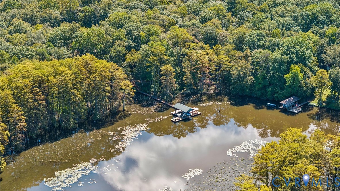 720 Arlington Island Road Lanexa, VA 23089 - Photo 48 of 50 Aerial view of a large body of water and a forest