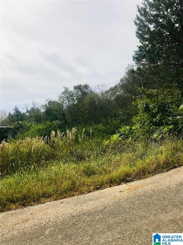 9317 Cedar Hill Road, Unit 4 14 ACRES Warrior, AL 35180 - Photo 3 of 4