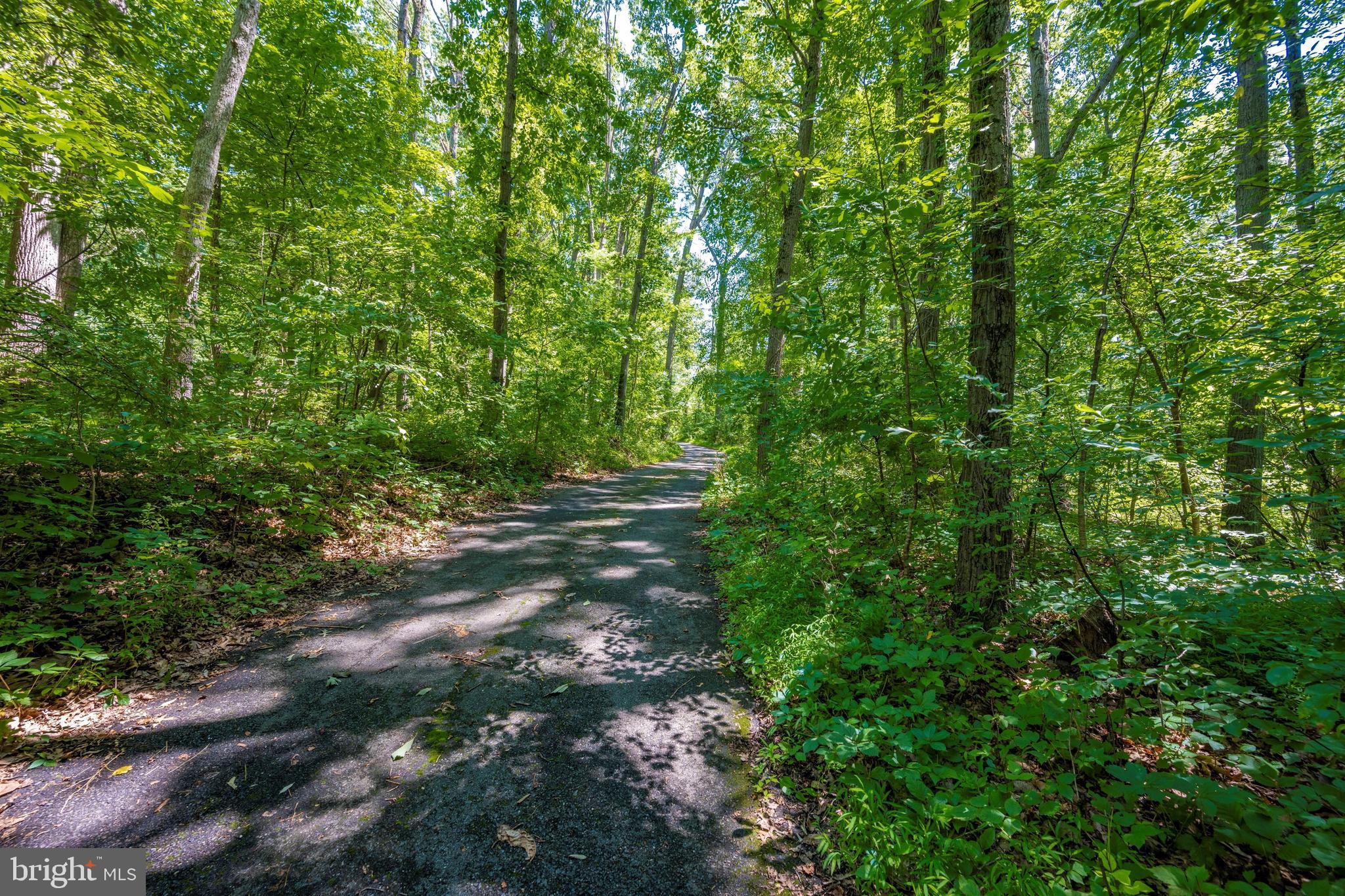 2049 Long Corner Road Mount Airy, MD 21771 - Photo 14 of 69
