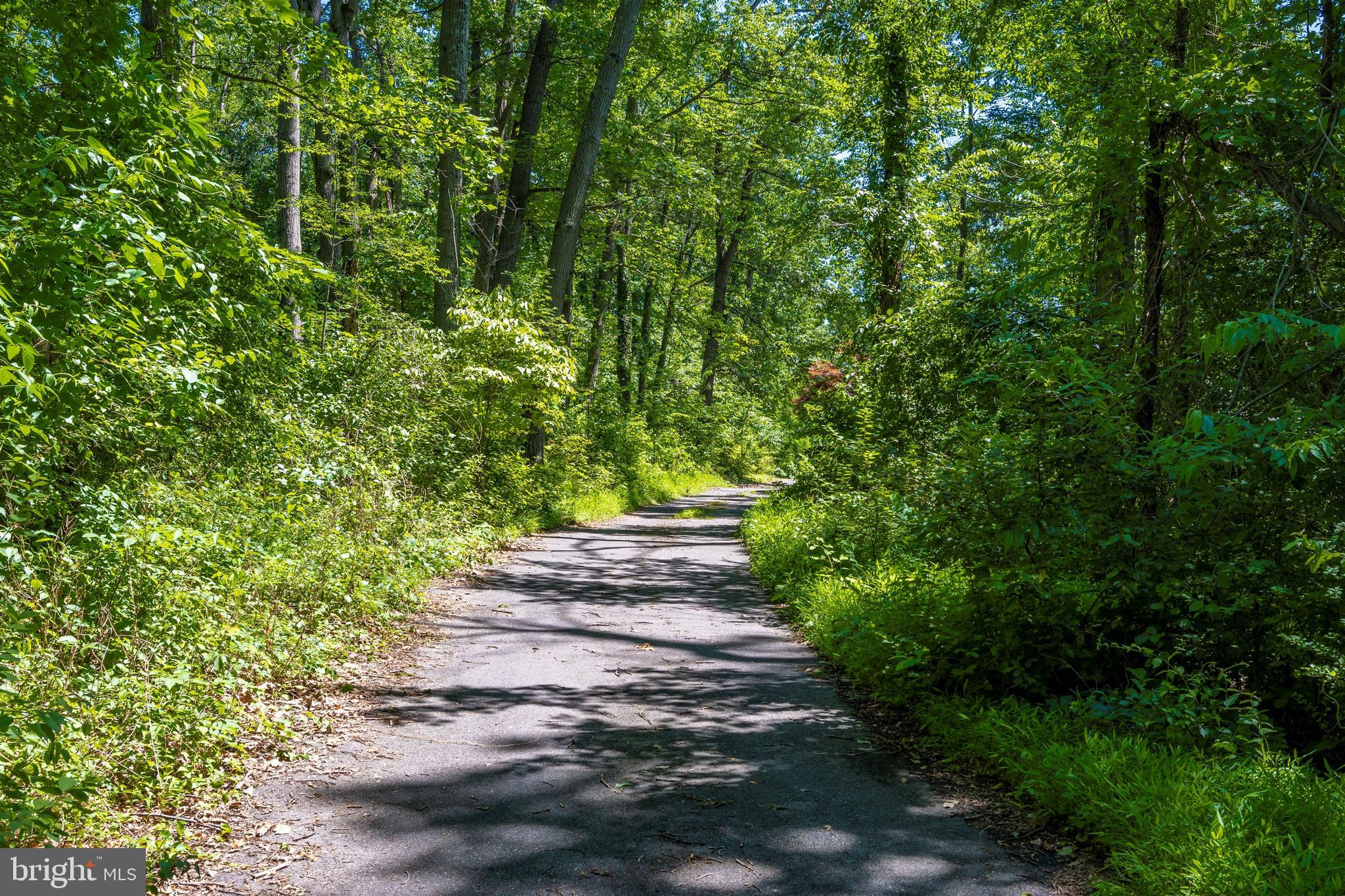 2049 Long Corner Road Mount Airy, MD 21771 - Photo 3 of 69