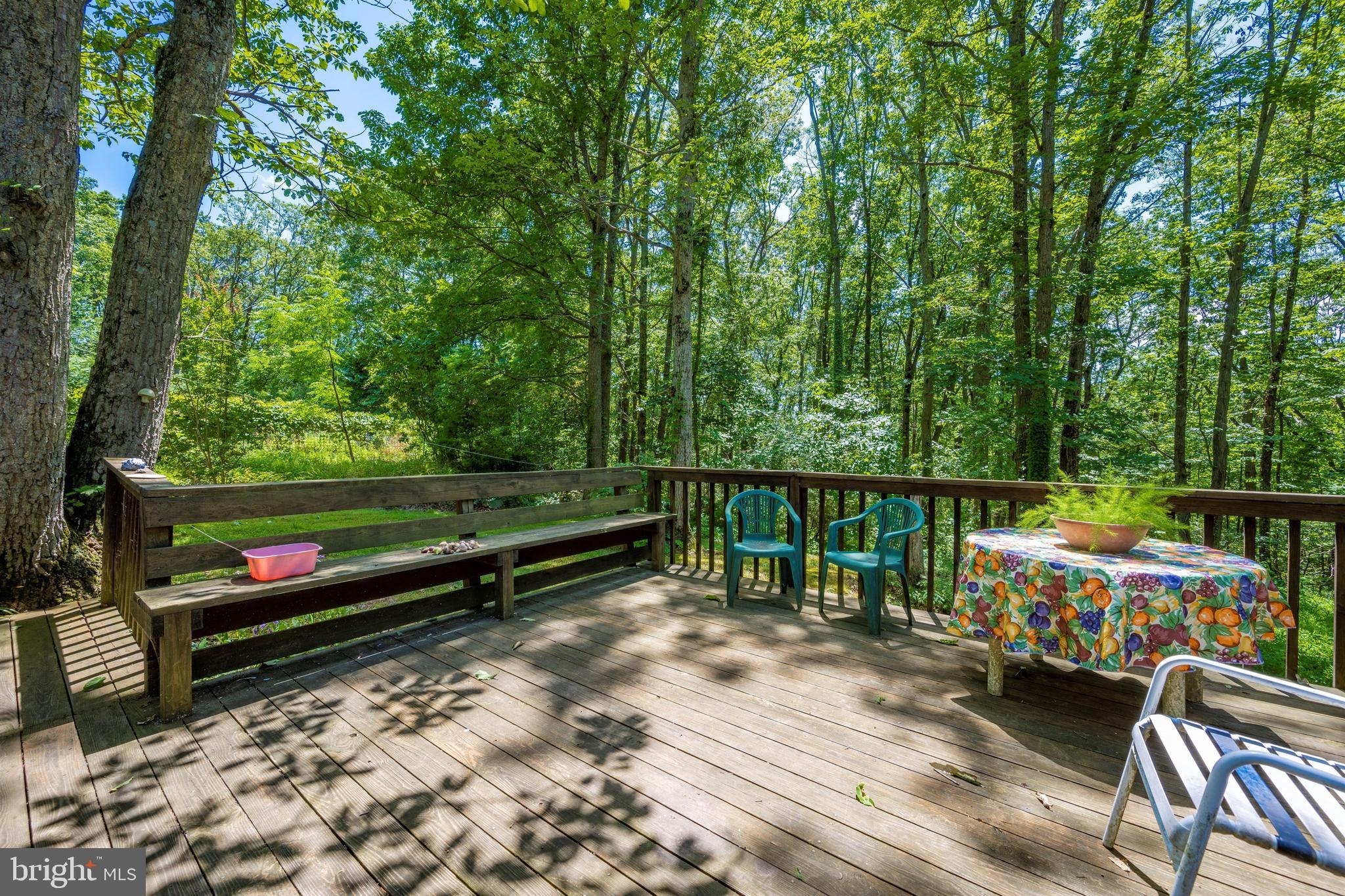 2049 Long Corner Road Mount Airy, MD 21771 - Photo 21 of 69
