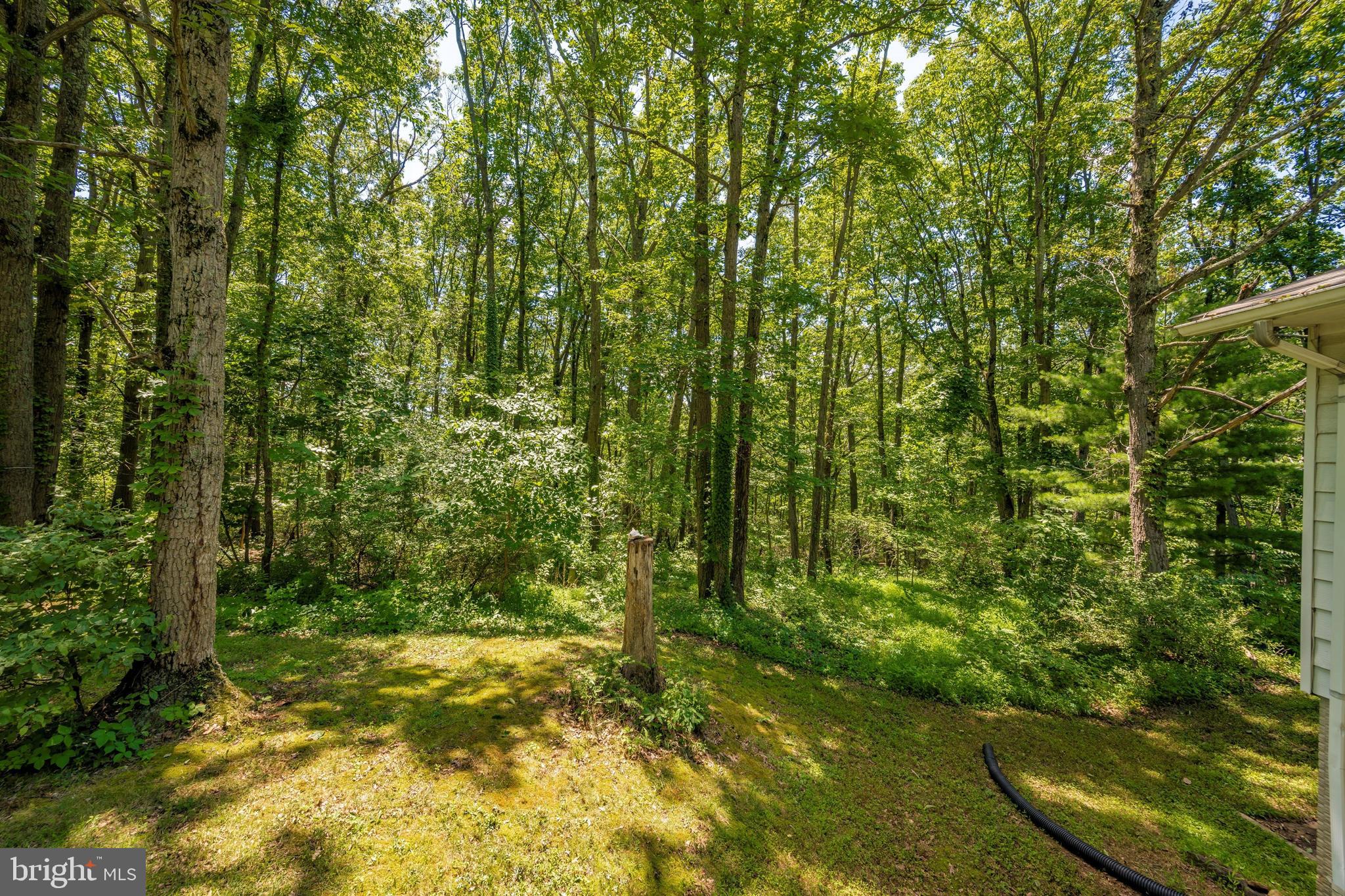2049 Long Corner Road Mount Airy, MD 21771 - Photo 4 of 69