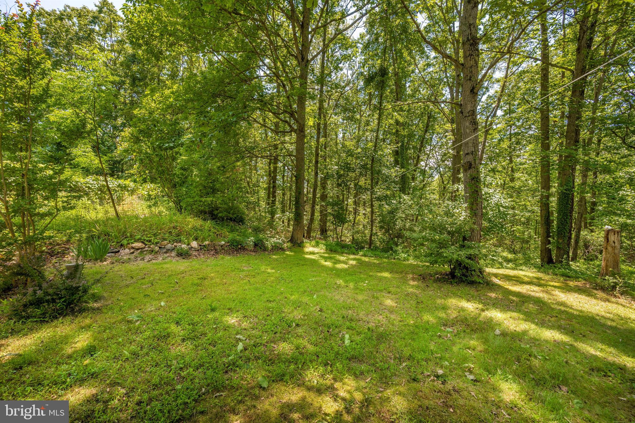 2049 Long Corner Road Mount Airy, MD 21771 - Photo 5 of 69