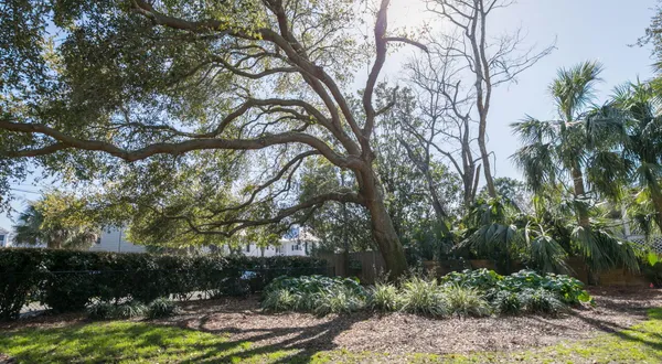 $14,000 | 2262 Ion Avenue, Sullivans Island, SC 29482