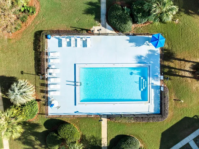 a view of a yard with plants