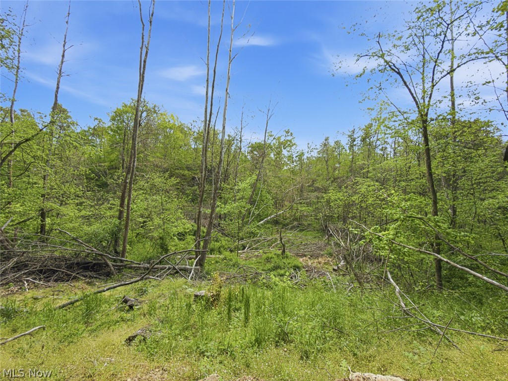 69-acres Newlon Road Malta, OH 43758 - Photo 13 of 20