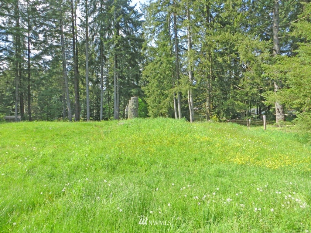 16830 Ty Lane Southwest Rochester, WA 98579 - Photo 7 of 22