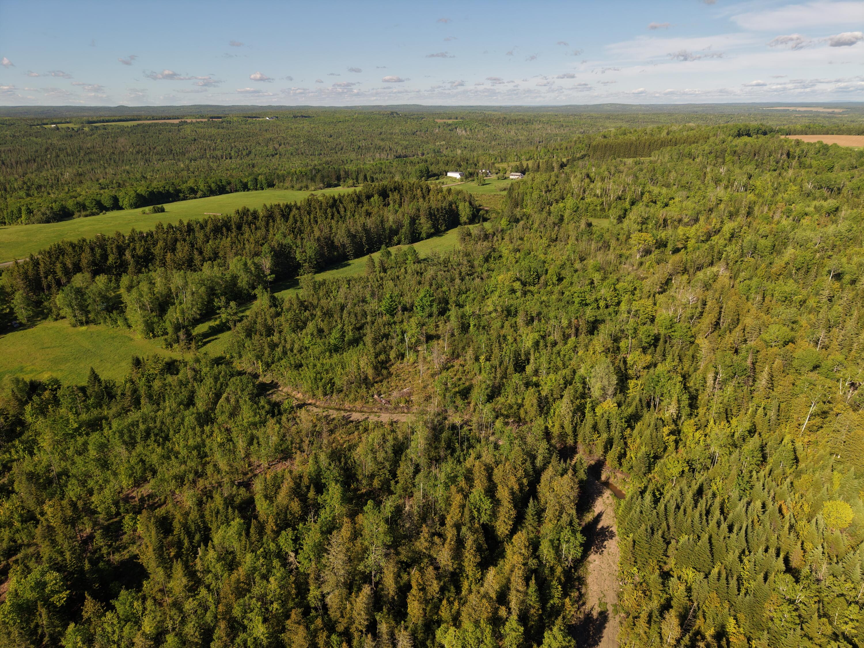 M5-l50d Rista Road New Sweden, ME 04762 - Photo 4 of 39