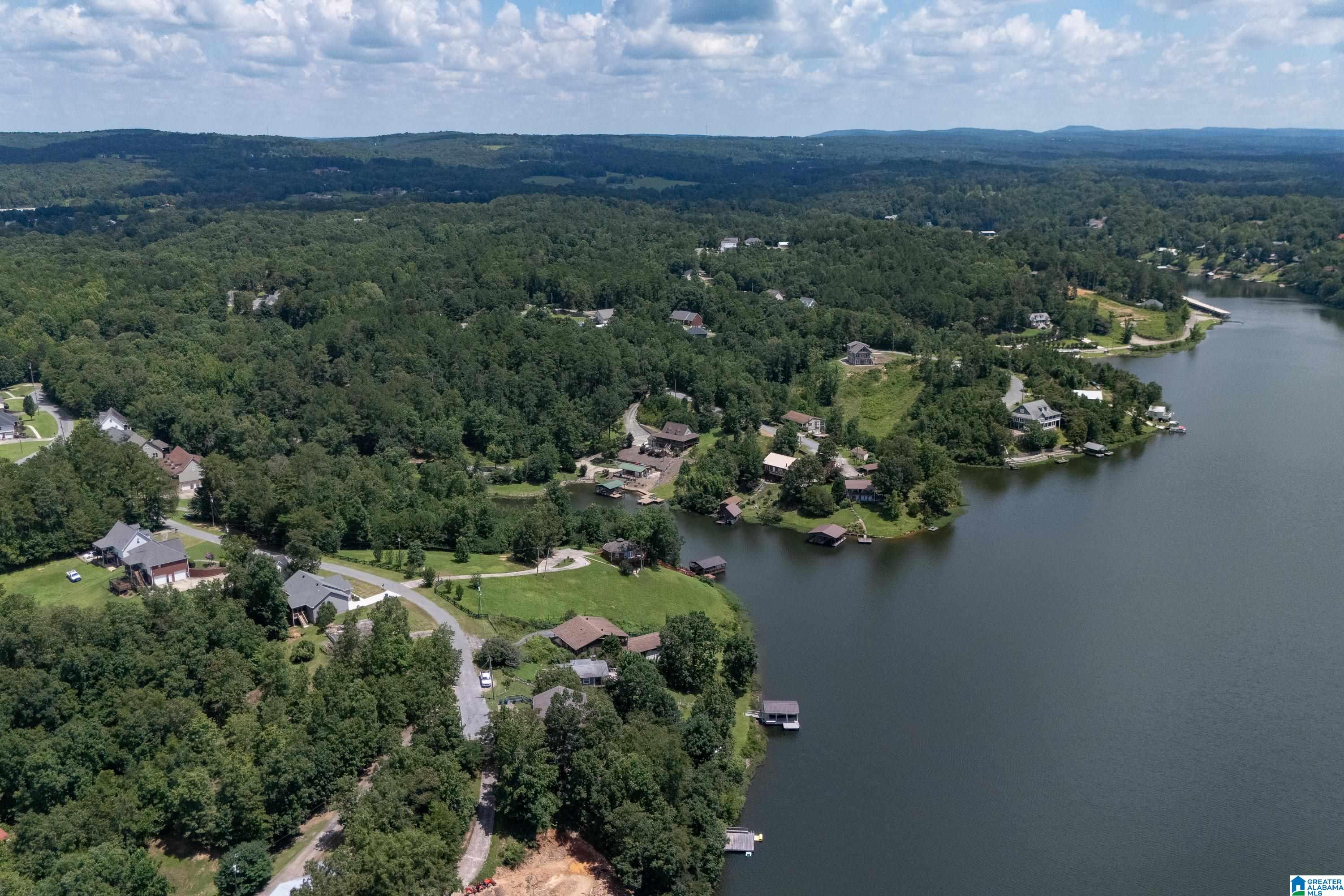 1594 Overlook Point Warrior, AL 35180 - Photo 44 of 51