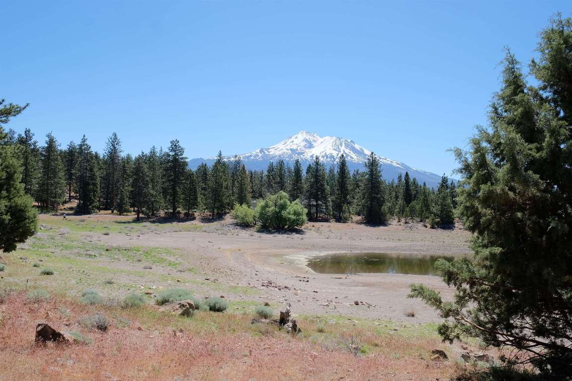 Lot 82 Spear Point Road Weed, CA 96094 - Photo 1 of 8 Gallery Image 1