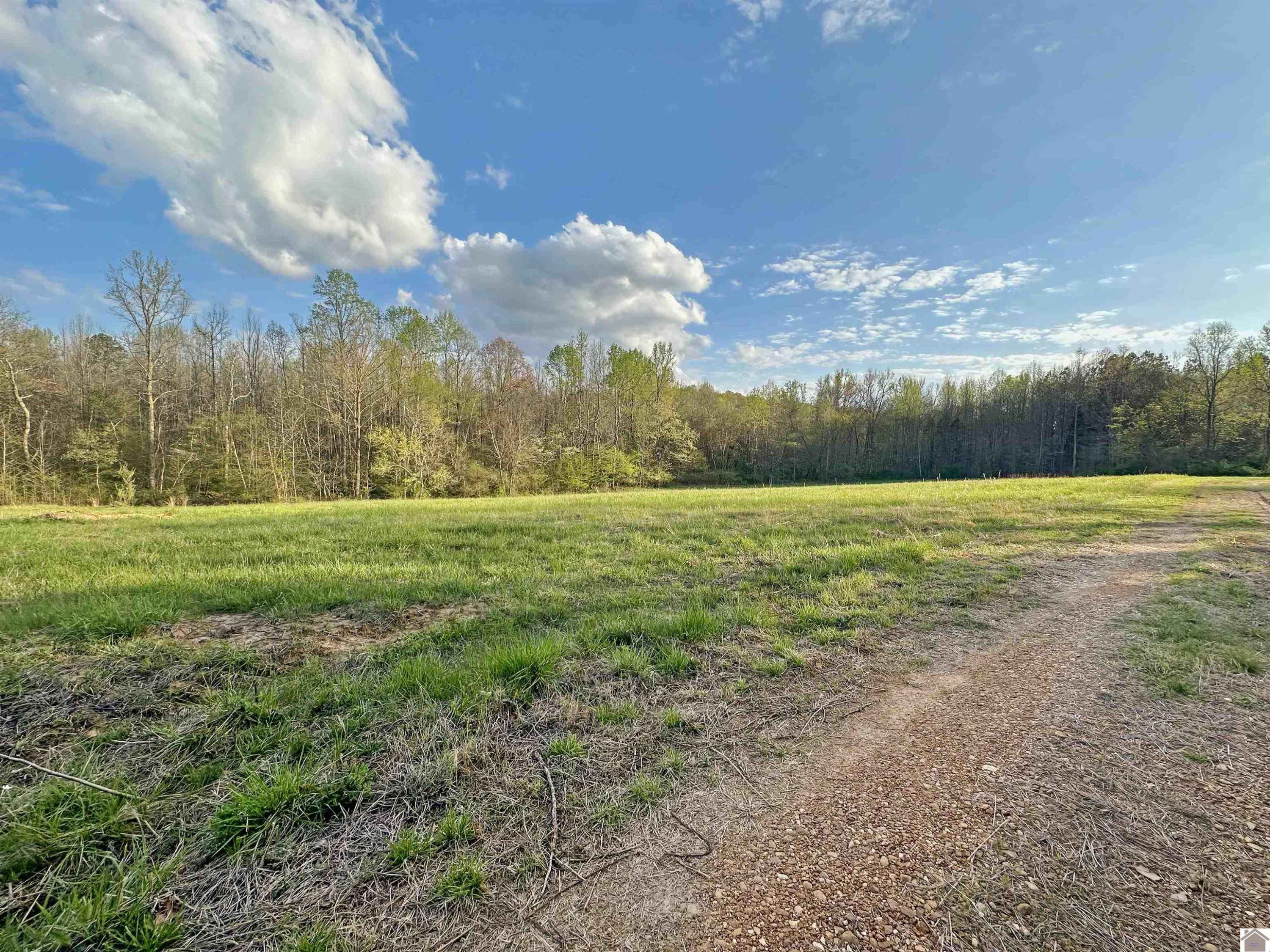 4047 Irvin Cobb Road Murray, KY 42071 - Photo 4 of 28 Photo 4