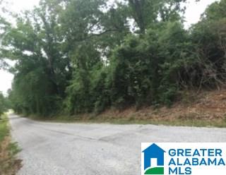 0 North Dakota Road, Unit 1 Thorsby, AL 35171 - Photo 3 of 6