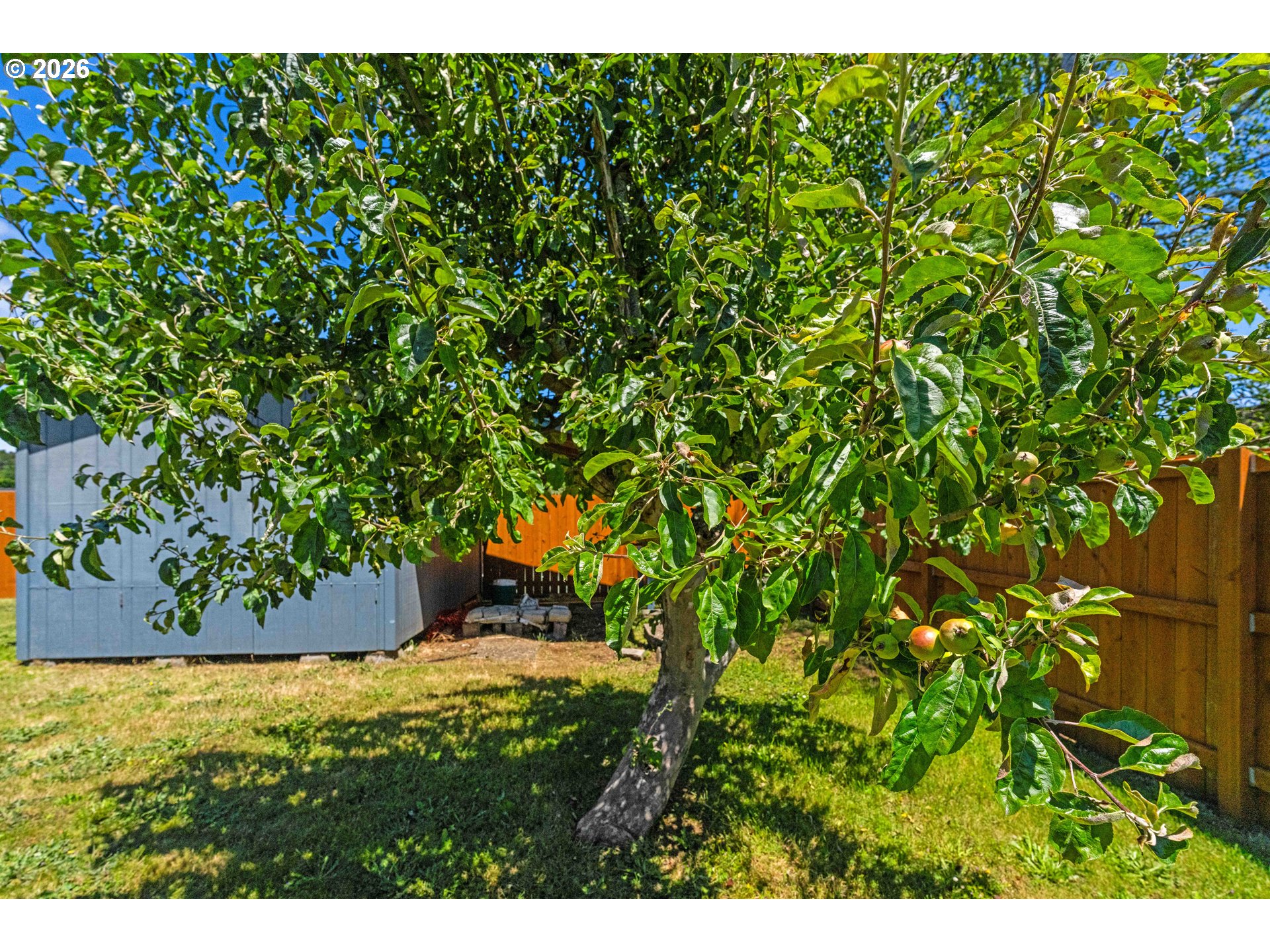 2449 Oak Street North Bend, OR 97459 - Photo 31 of 35