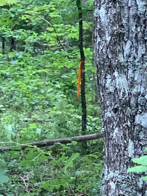 0 Walden View Road Signal Mountain, TN 37377 - Photo 2 of 7 Gallery Image 2
