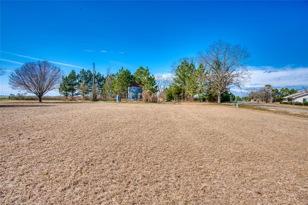 441 Weaver Road Moultrie, GA 31768 - Photo 5 of 48 a view of a road with a yard