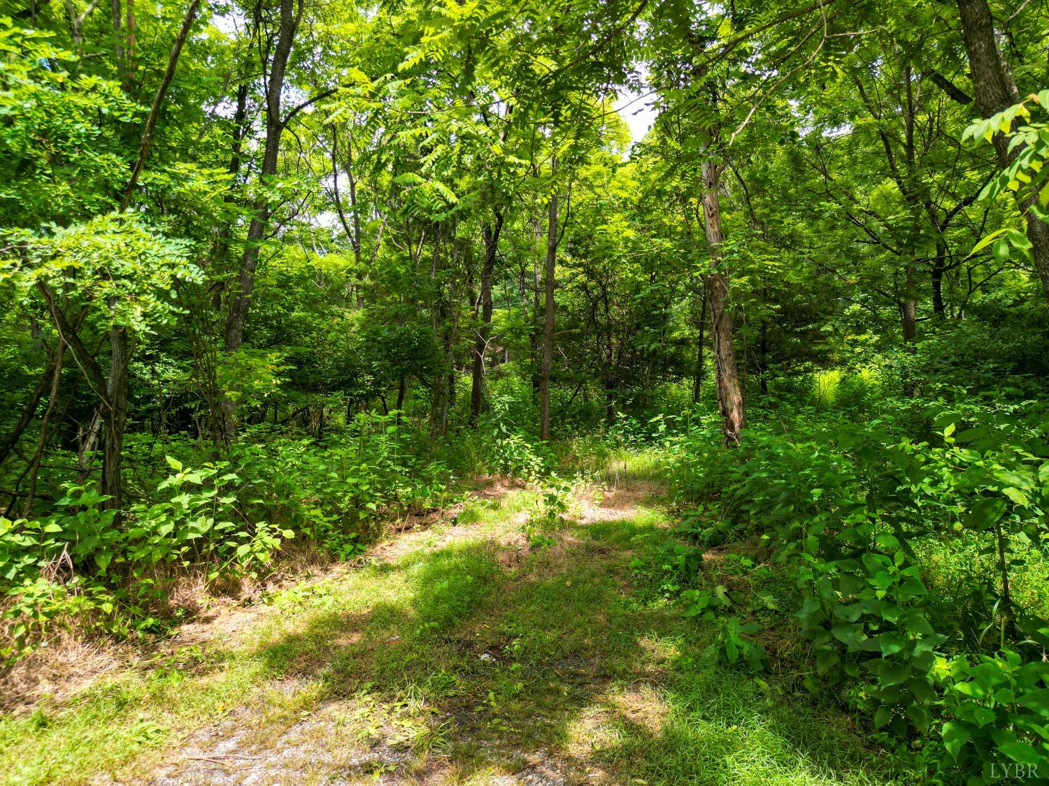 0 Elkton Farm Road Forest, VA 24551 - Photo 4 of 30