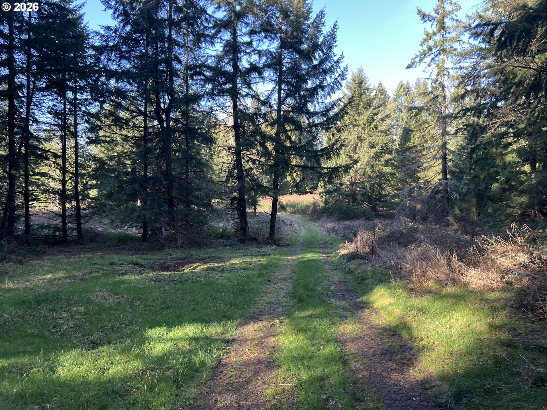 39775 Southeast Kitzmiller Road Eagle Creek, OR 97022 - Photo 11 of 15 Gallery Image 11