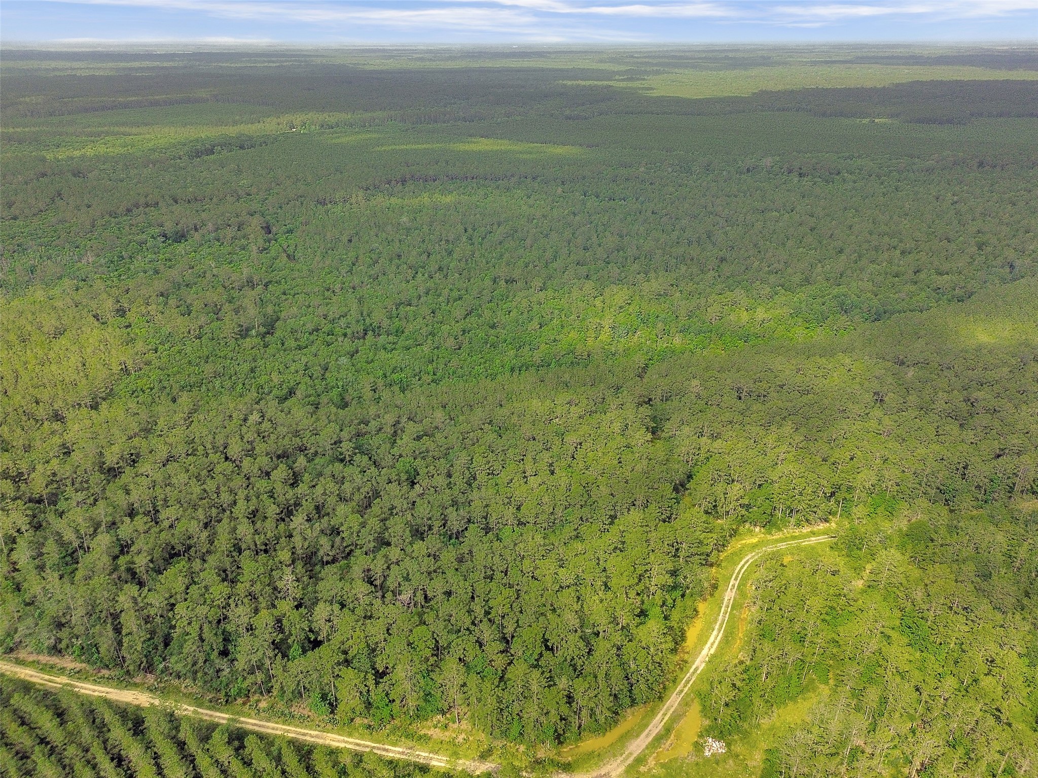 0 Gates Road Liberty, TX 77575 - Photo 11 of 13