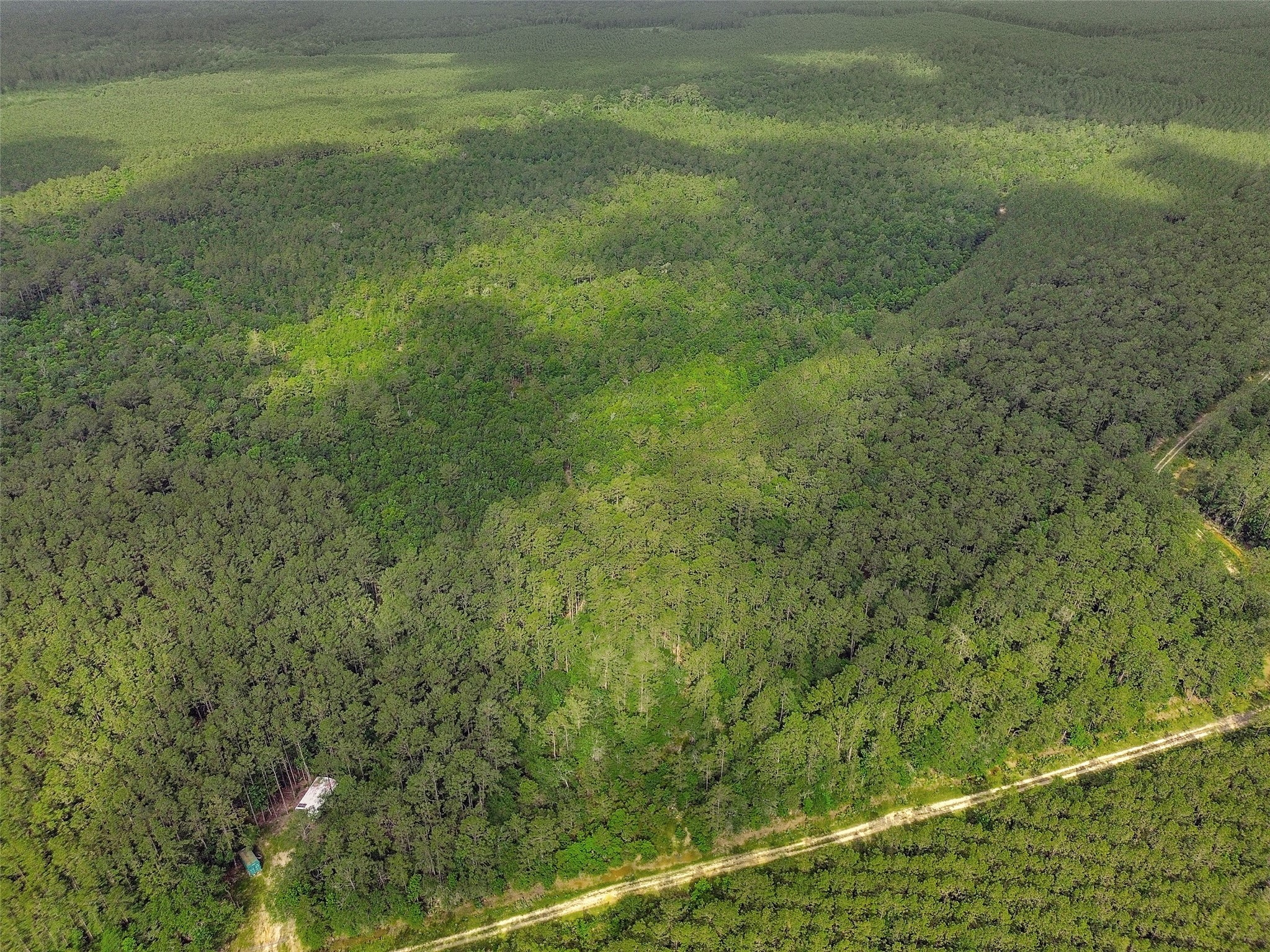 0 Gates Road Liberty, TX 77575 - Photo 12 of 13