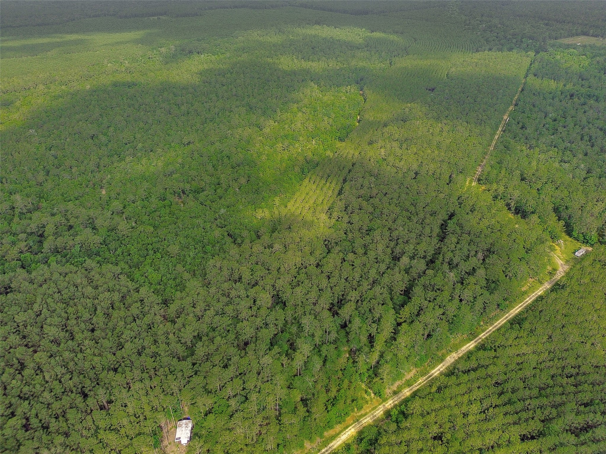 0 Gates Road Liberty, TX 77575 - Photo 13 of 13