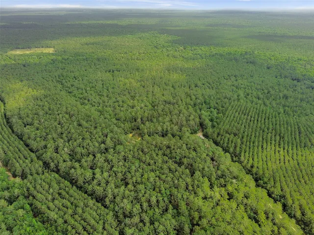 $90,000 | 0 Gates Road, Liberty, TX 77575