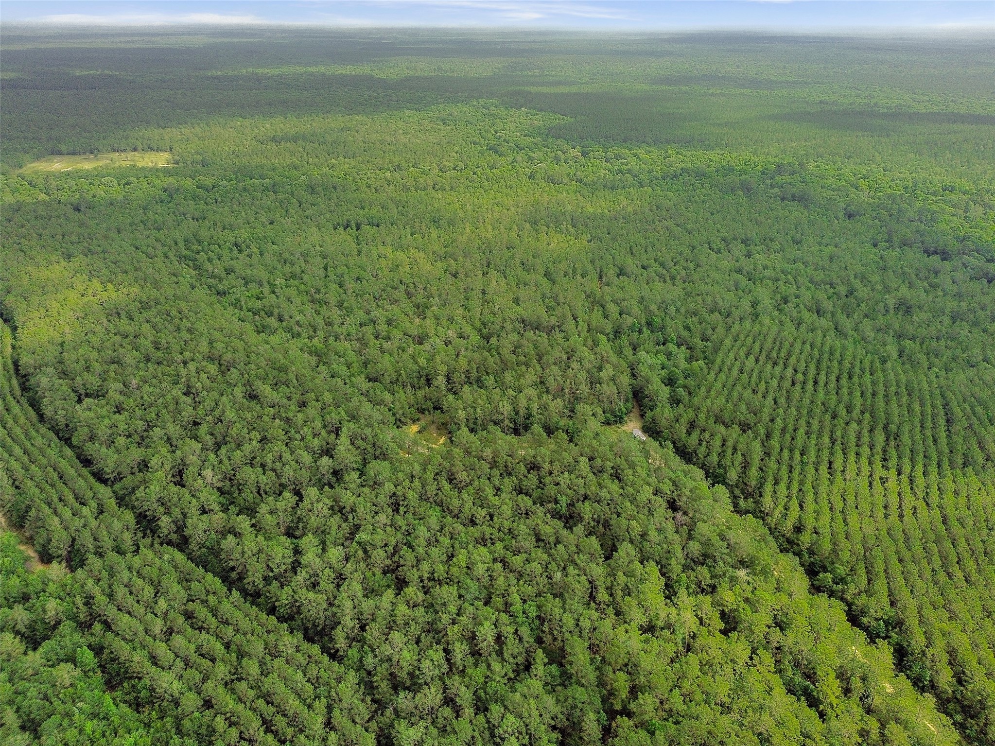 0 Gates Road Liberty, TX 77575 - Photo 6 of 13