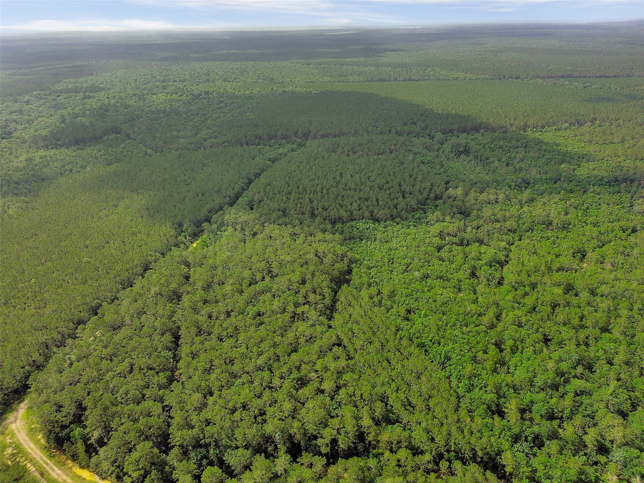 0 Gates Road Liberty, TX 77575 - Photo 9 of 13
