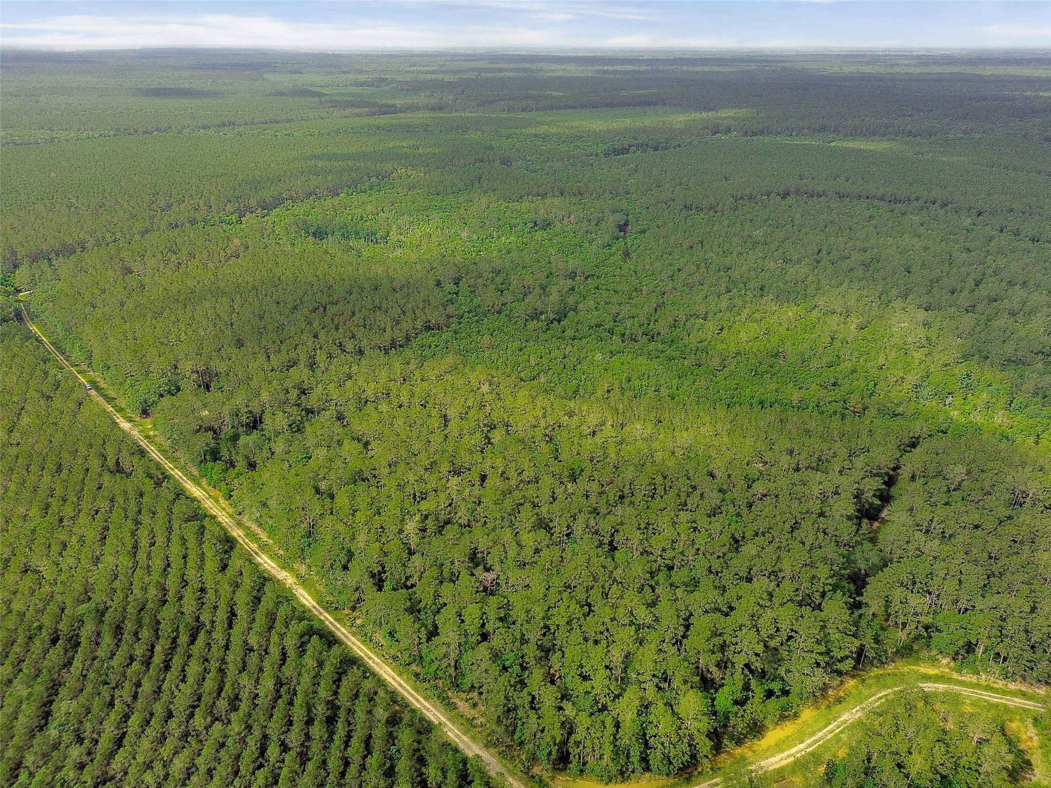 0 Gates Road Liberty, TX 77575 - Photo 10 of 13