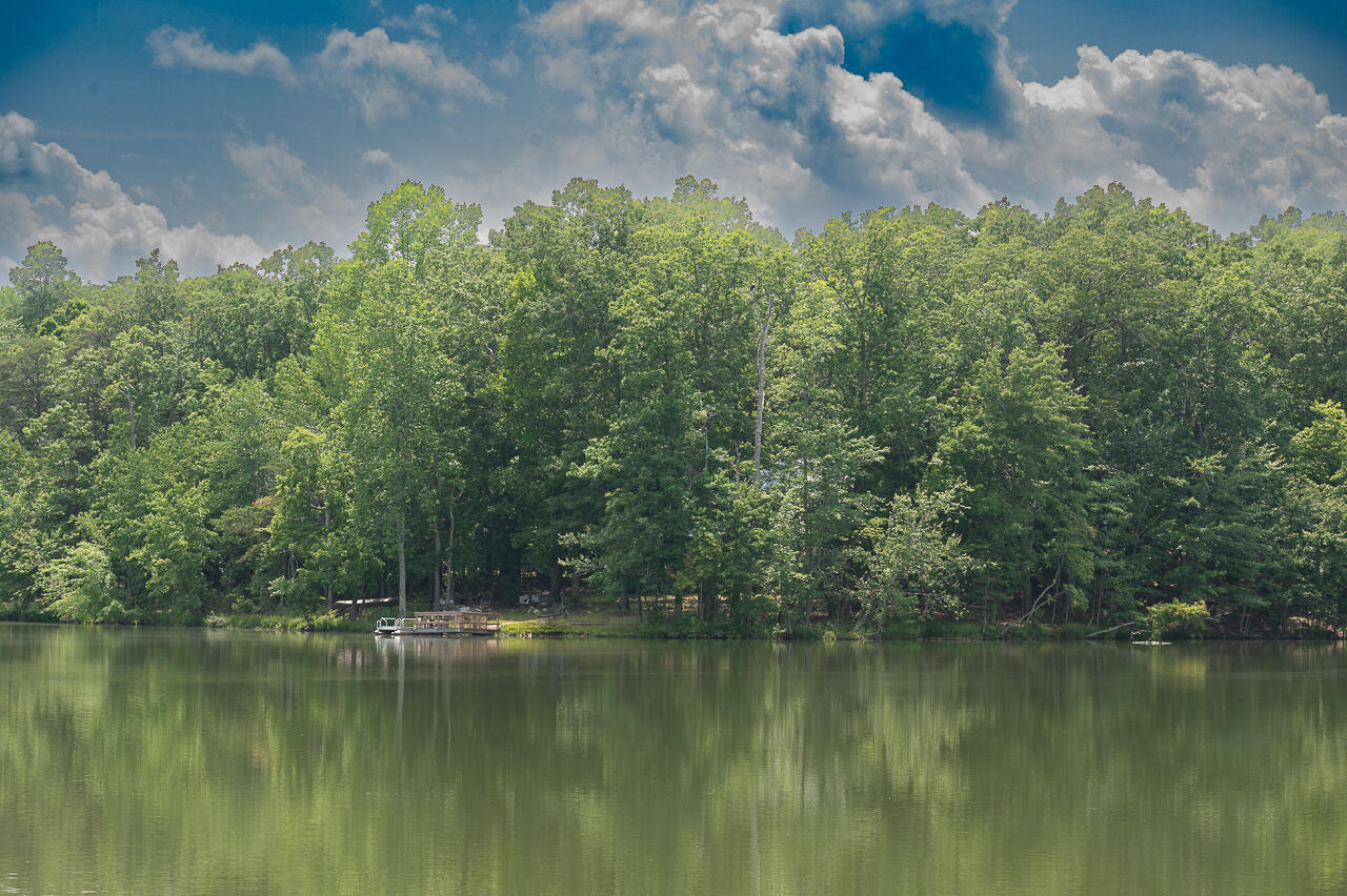 895 Lake Loop Cloudland, GA 30731 - Photo 3 of 27 MC