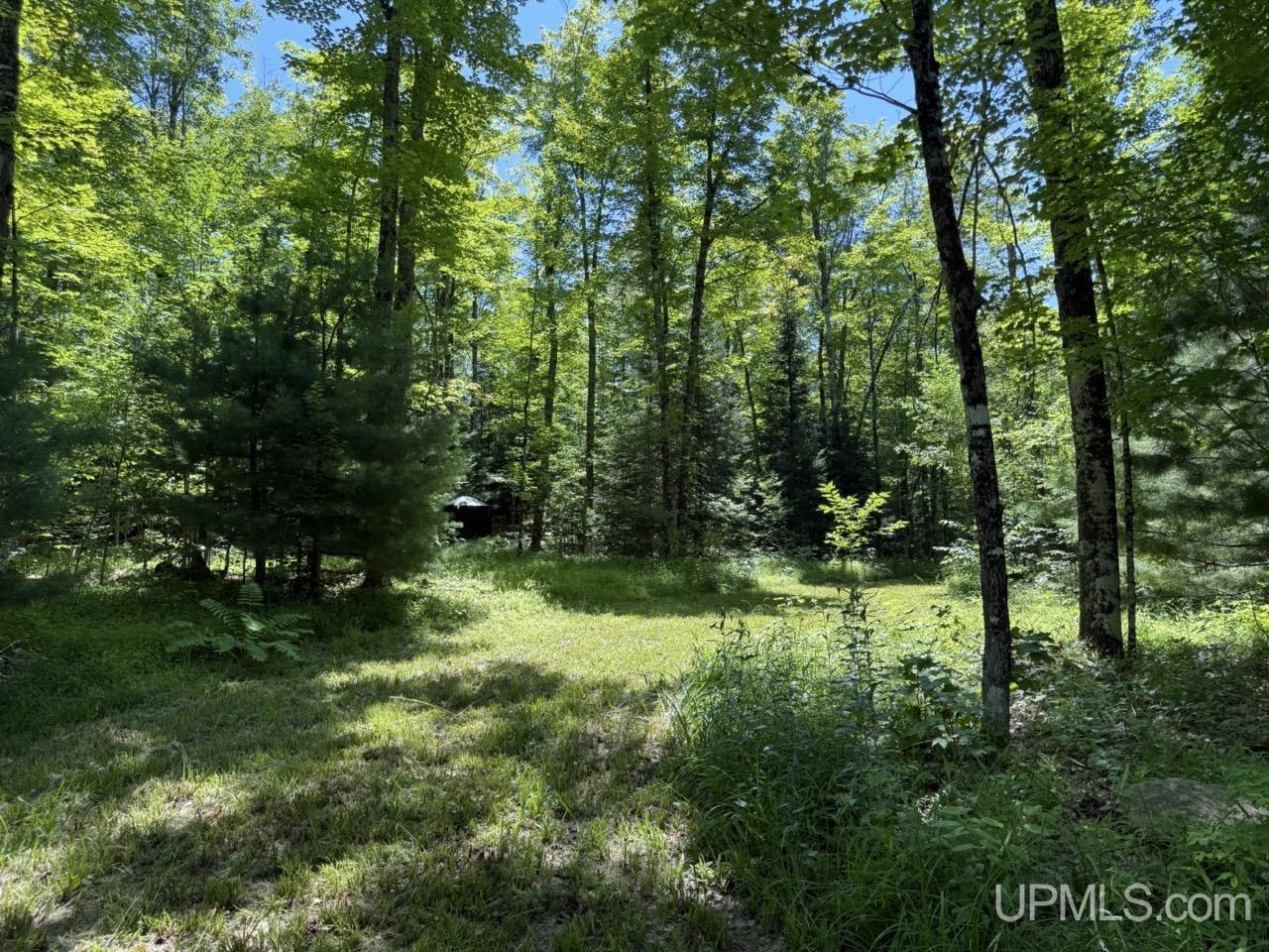 33.85-acres East Cable Lake Road Crystal Falls, MI 49920 - Photo 1 of 13