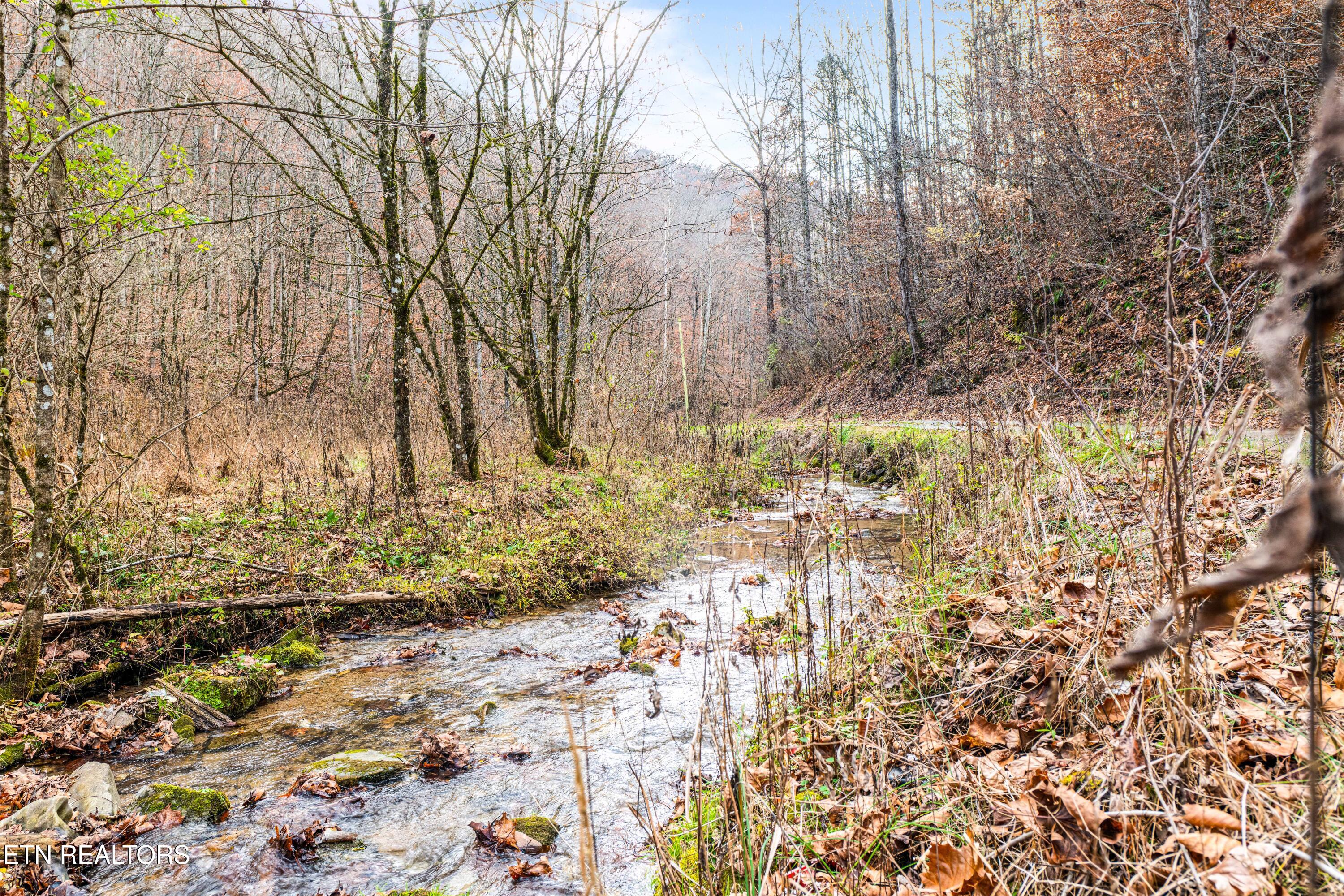Ramsey Hollow Road Harrogate, TN 37752 - Photo 4 of 9 Ramsey Hollow