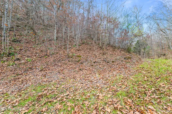 $38,500 | Ramsey Hollow Road, Harrogate, TN 37752