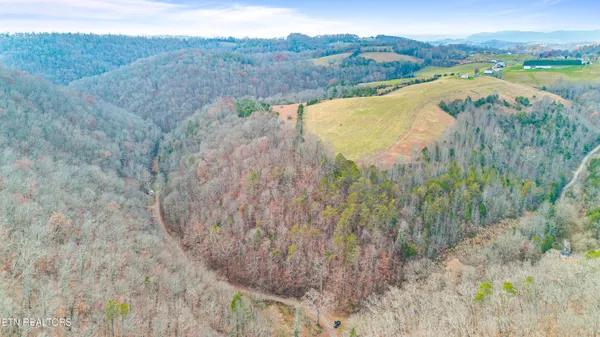 $38,500 | Ramsey Hollow Road, Harrogate, TN 37752