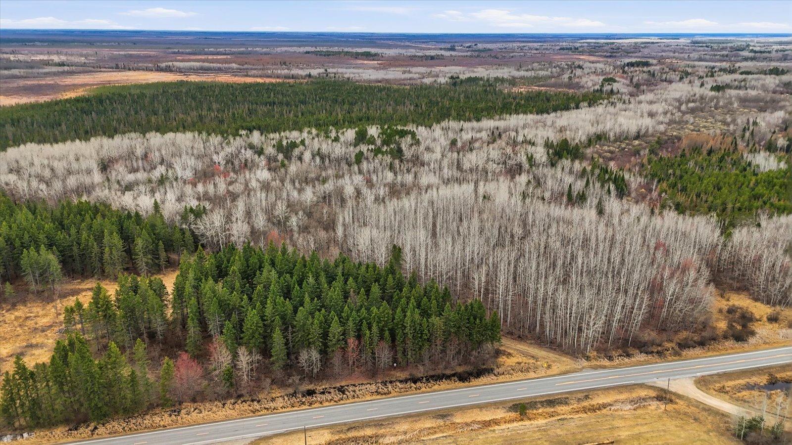 Tbd Tbd Town Road, Unit 55 Big Falls, MN 56627 - Photo 13 of 13