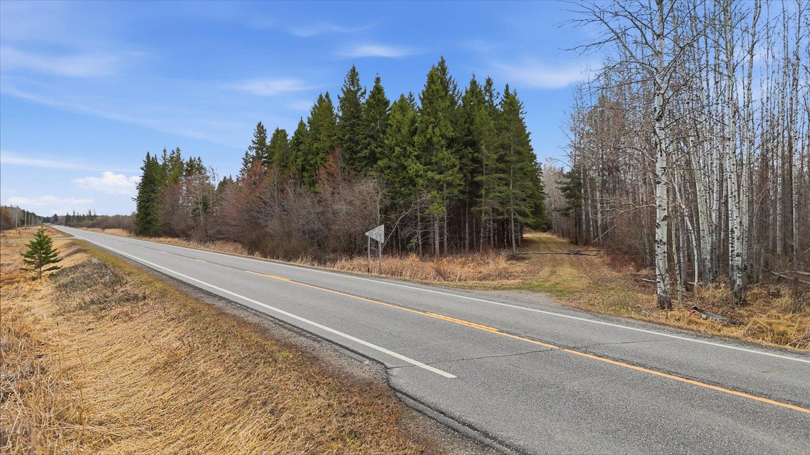 Tbd Tbd Town Road, Unit 55 Big Falls, MN 56627 - Photo 4 of 13