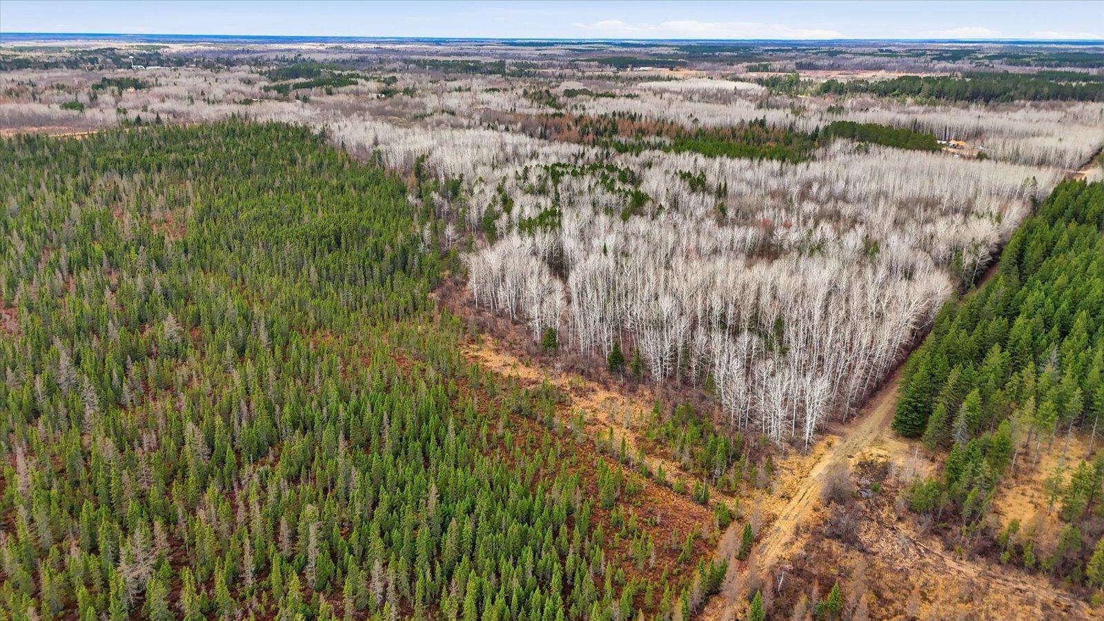 Tbd Tbd Town Road, Unit 55 Big Falls, MN 56627 - Photo 7 of 13