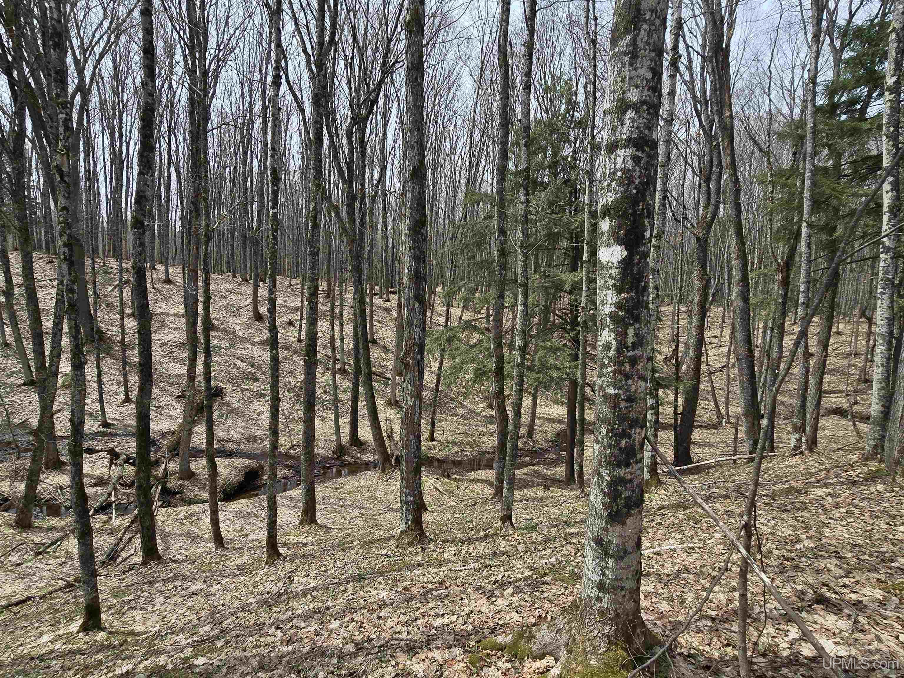 Tbd Orange Road, Unit TBD BLUE ROAD Pelkie, MI 49952 - Photo 16 of 49